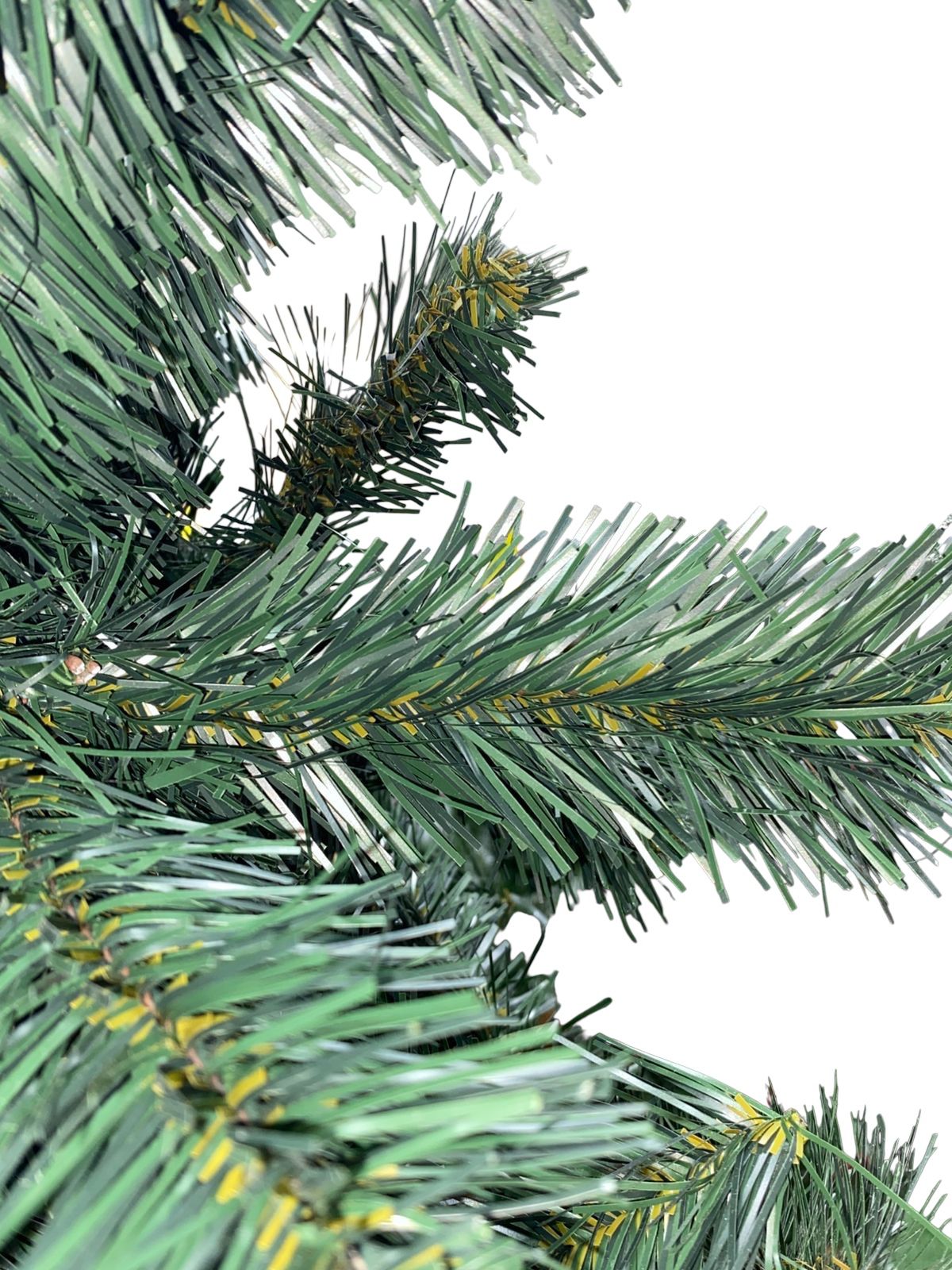 arbol brasilian
